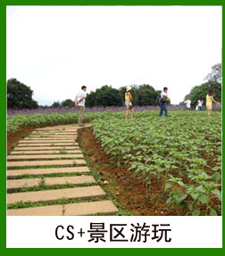 CSҰս