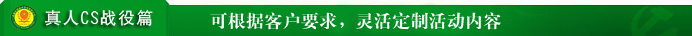 CSս